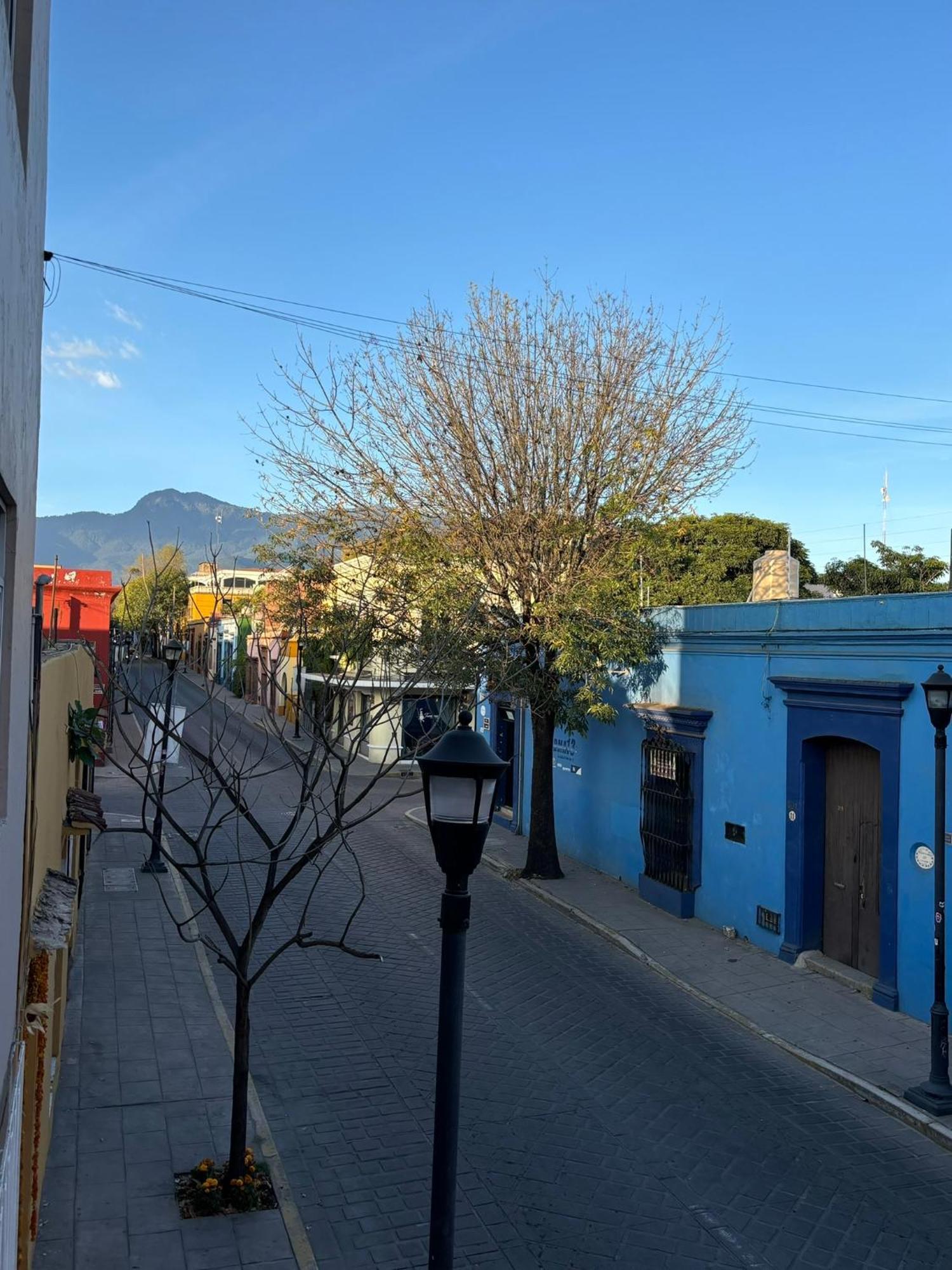 Departamento En El Centro De * Oaxaca